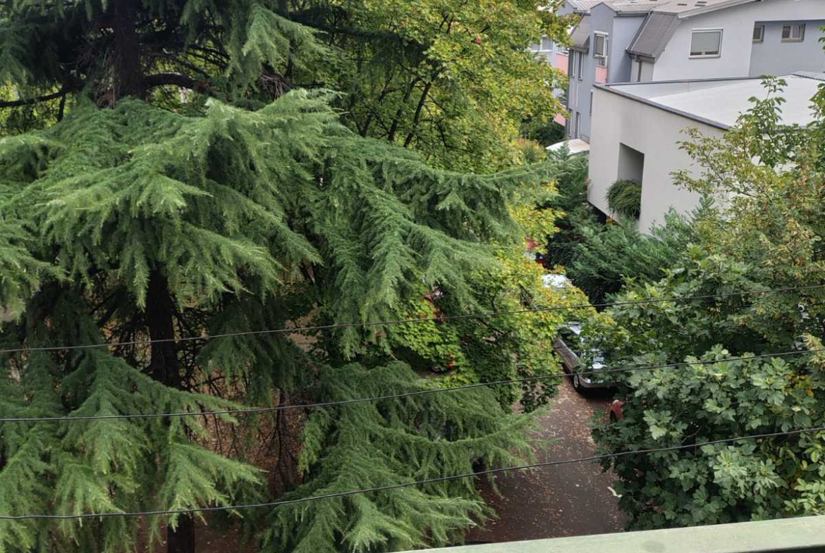 Viber image 2025 10 10 18 29 22 082