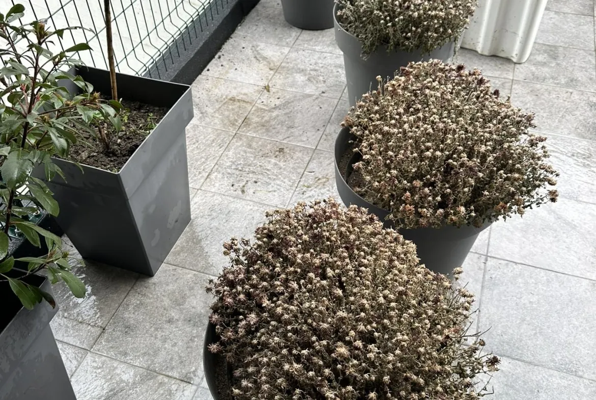 Viber image 2026 02 18 15 11 40