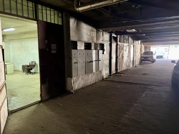 548904635 1291288676119409 5442461251829677617 n