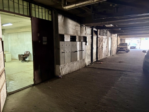 548904635 1291288676119409 5442461251829677617 n