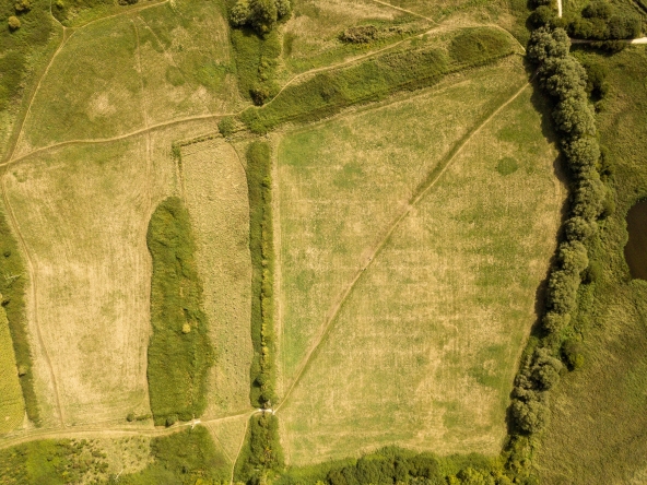 Drone view landscape near teddy bear woods weymouth dorset