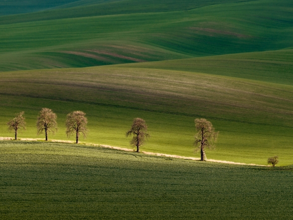 Cezary morga YNh5MspsgrE unsplash