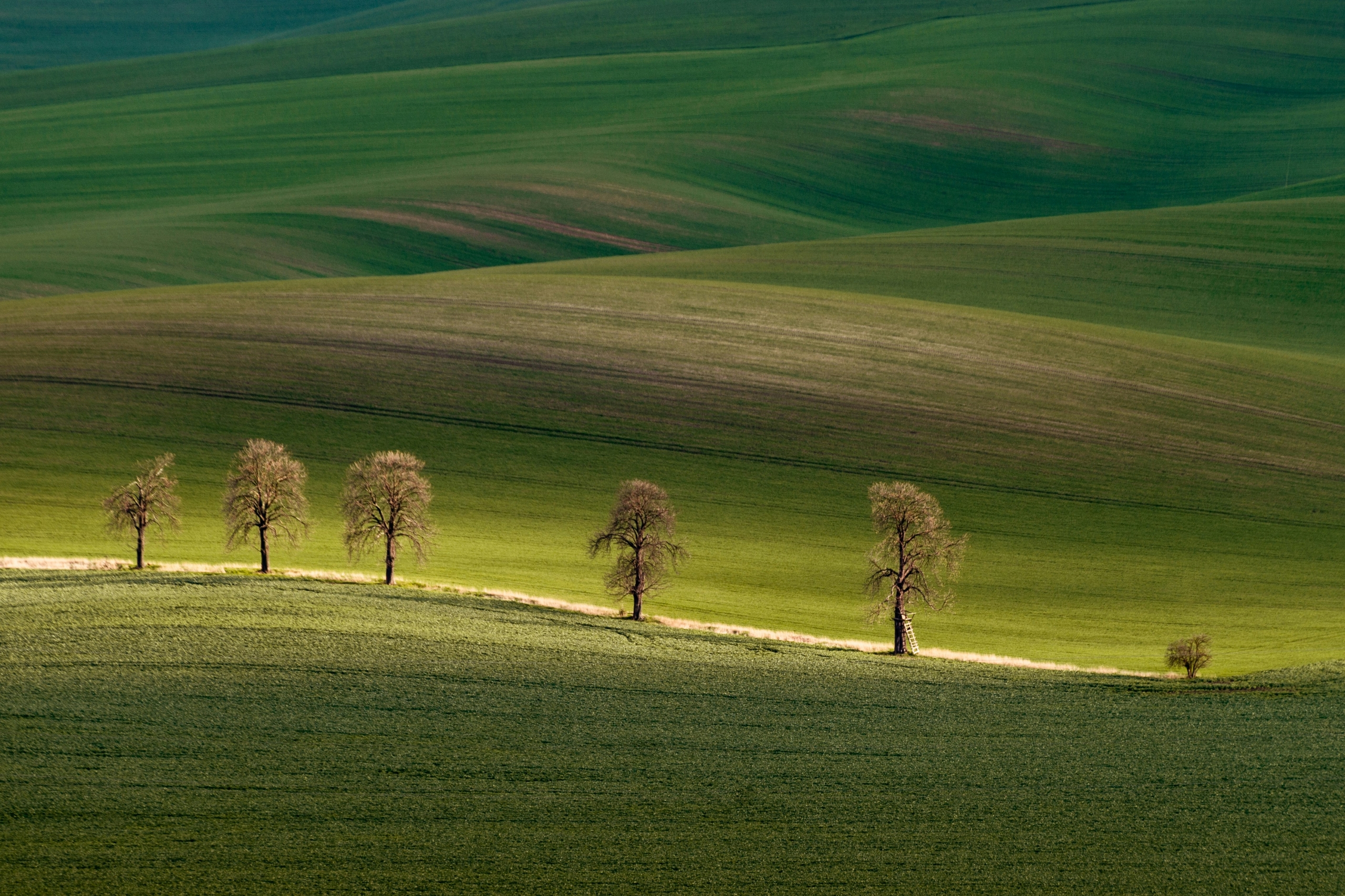 cezary-morga-YNh5MspsgrE-unsplash