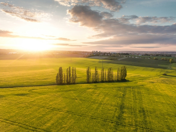 Karl kohler oK0CdViFwXA unsplash