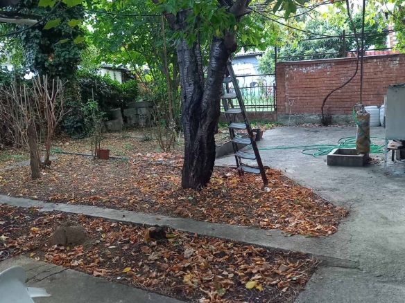 Viber image 2024 08 26 14 15 18