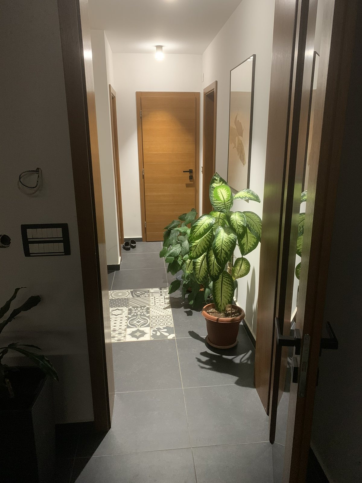 viber_image_2024-10-28_16-38-14-543