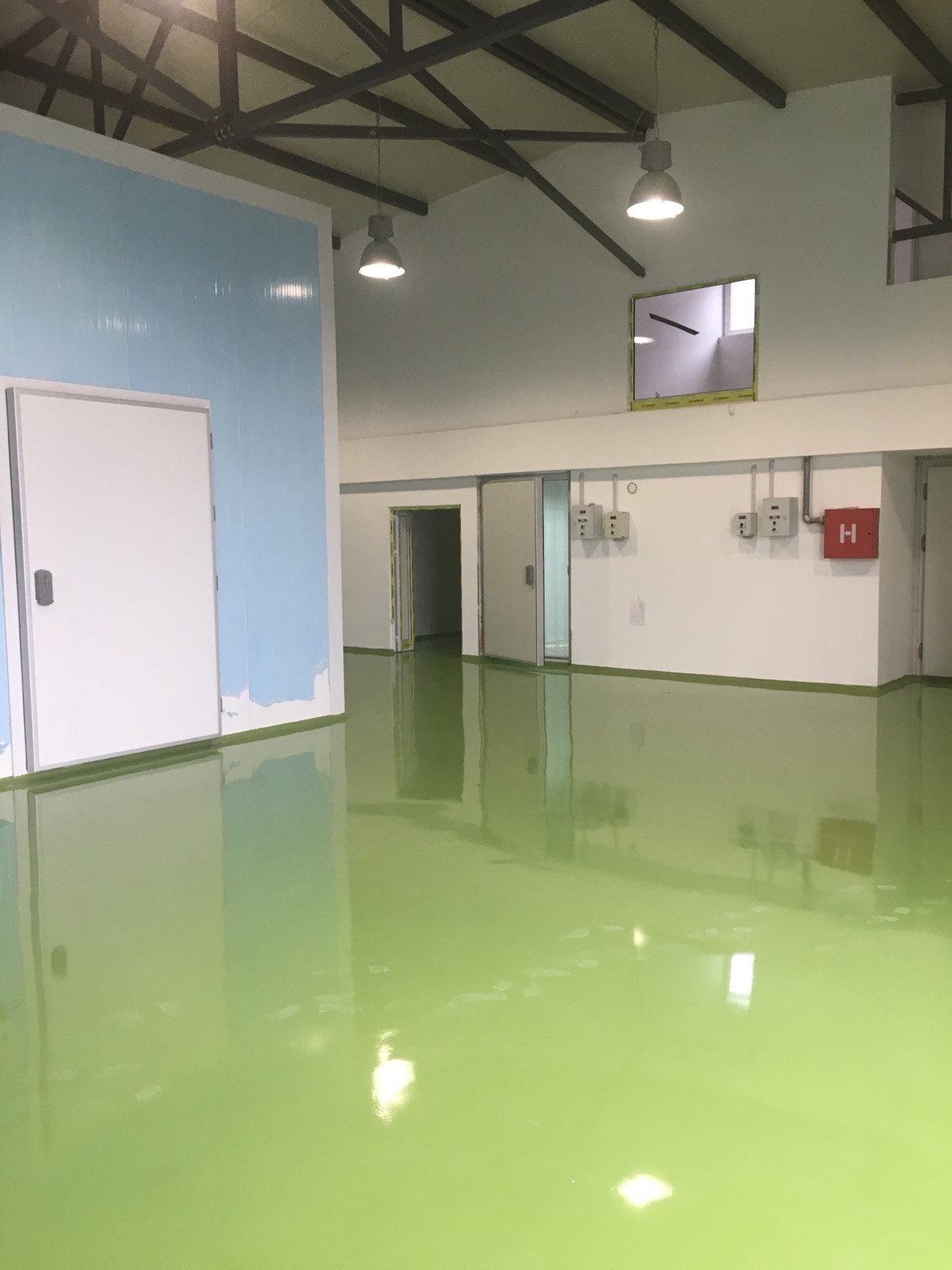 viber_image_2025-01-13_16-38-58-566