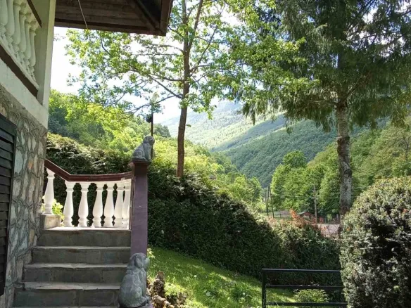 Viber image 2025 09 15 10 50 51 109