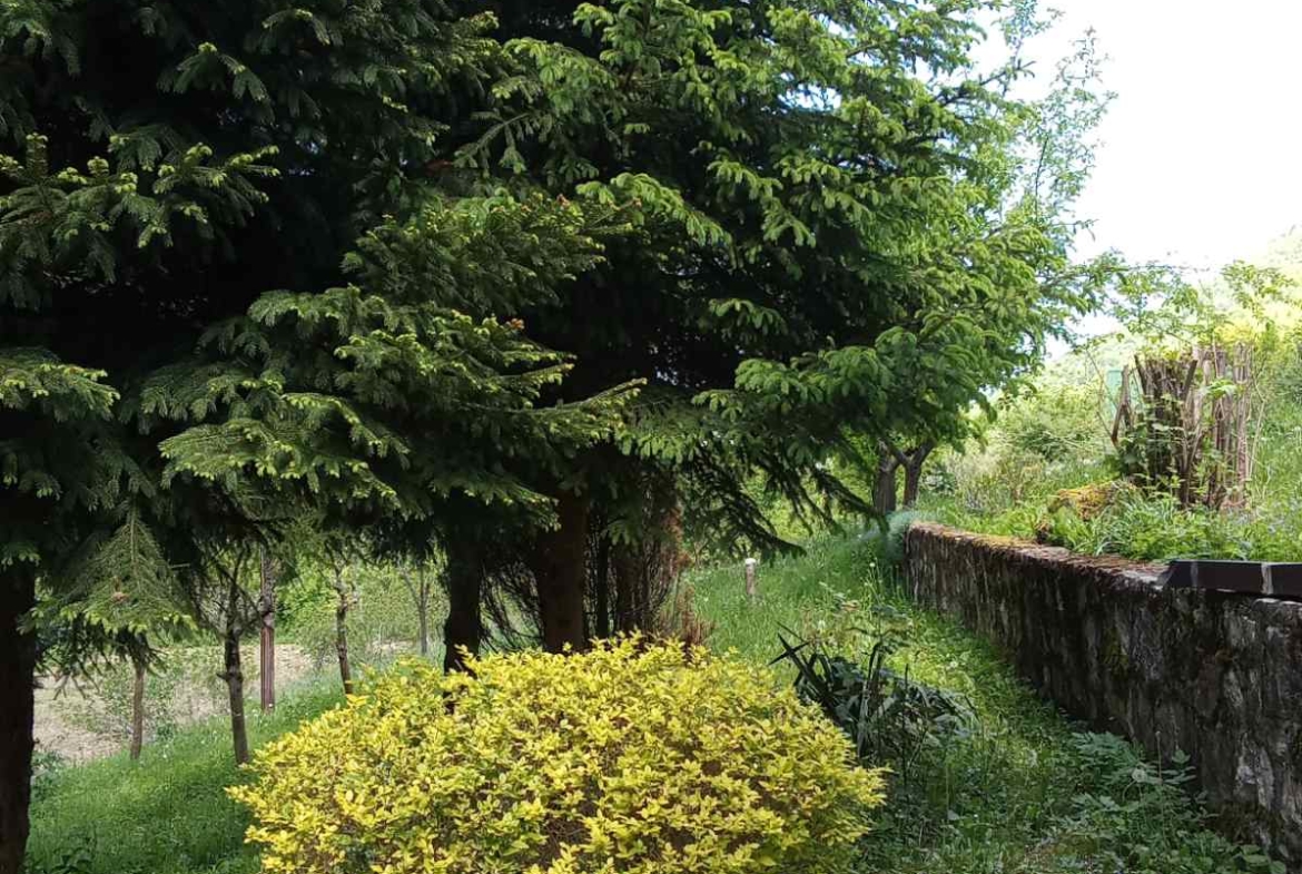 Viber image 2025 09 15 10 50 53 468