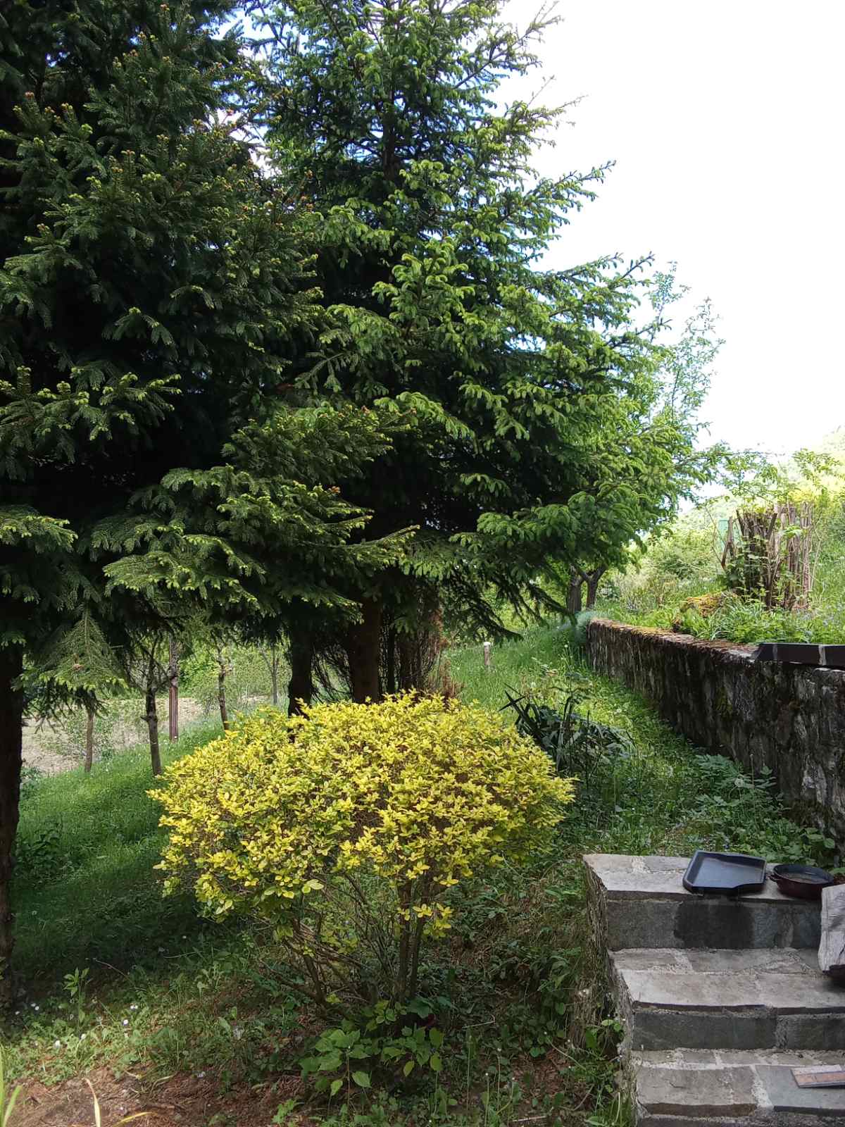 Viber image 2025 09 15 10 50 53 468