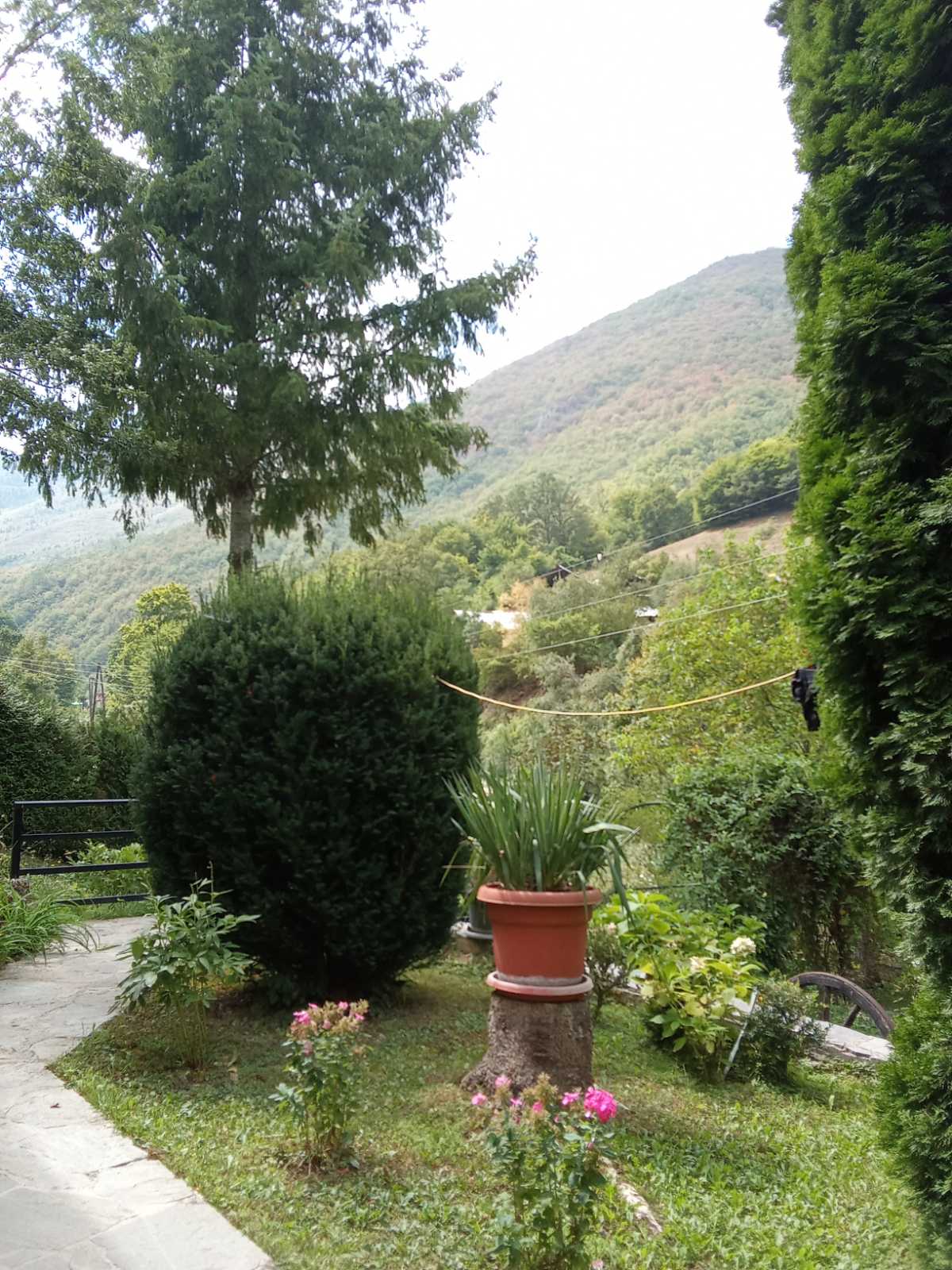 Viber image 2025 09 15 10 50 55 169