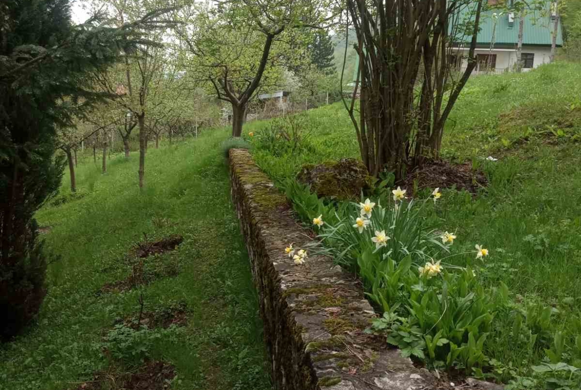 Viber image 2025 09 15 10 50 57 004