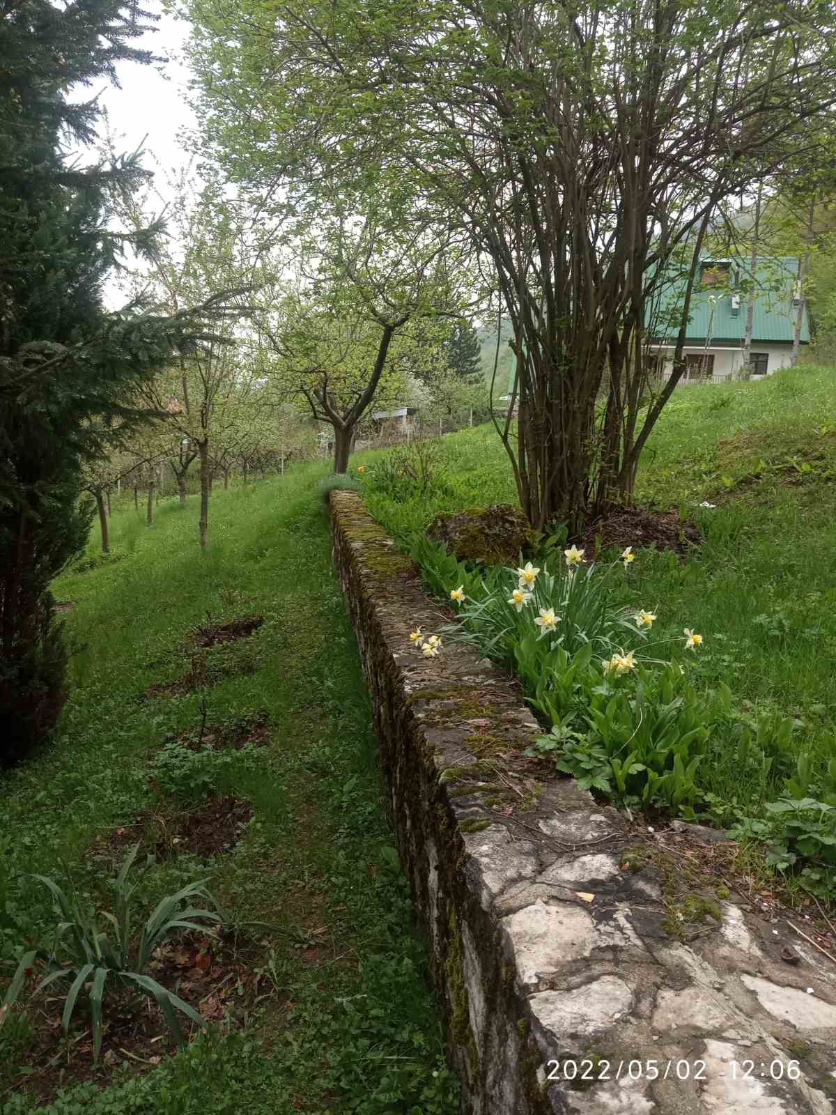 Viber image 2025 09 15 10 50 57 004