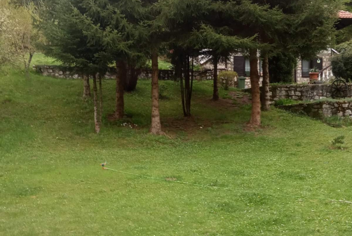 Viber image 2025 09 15 10 51 04 296