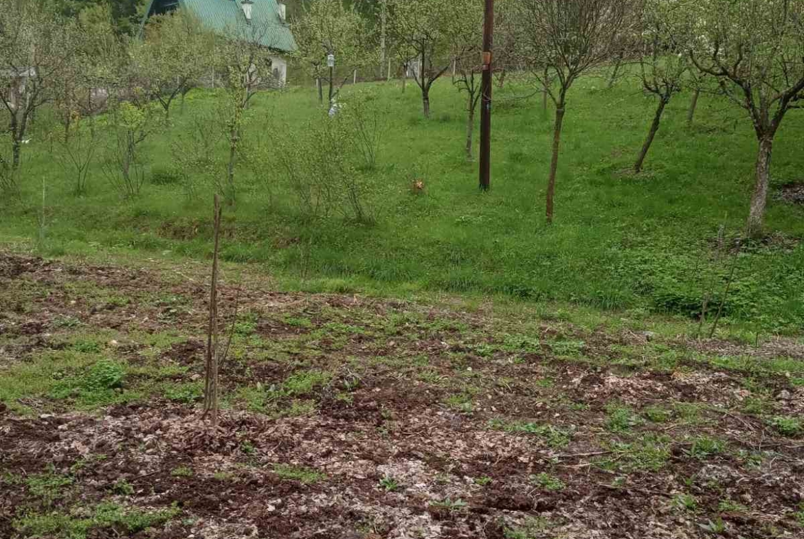 Viber image 2025 09 15 10 51 13 185