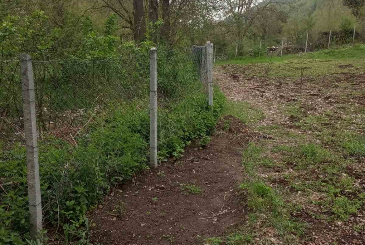 Viber image 2025 09 15 10 51 17 943