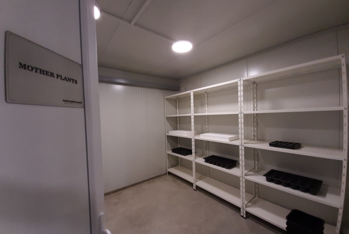 1a production (mother plants)