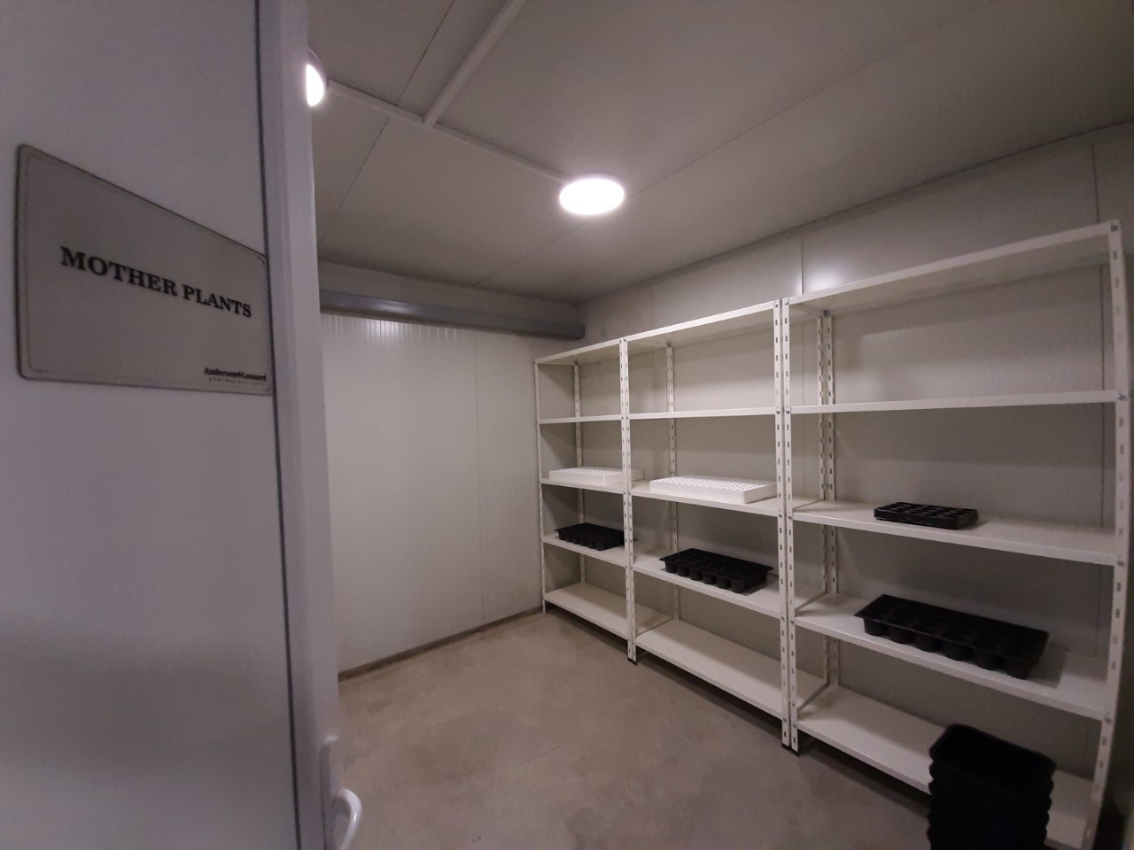 1a production (mother plants)