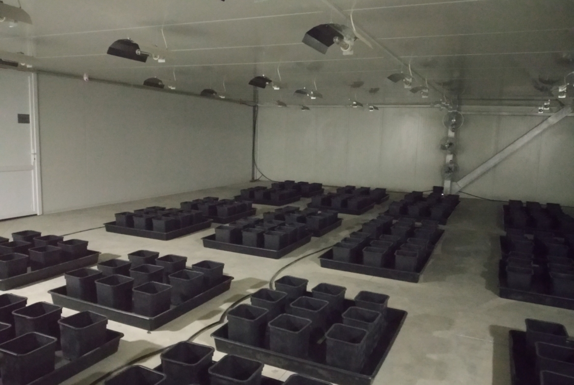 2 zone 2 (flowering grow room)