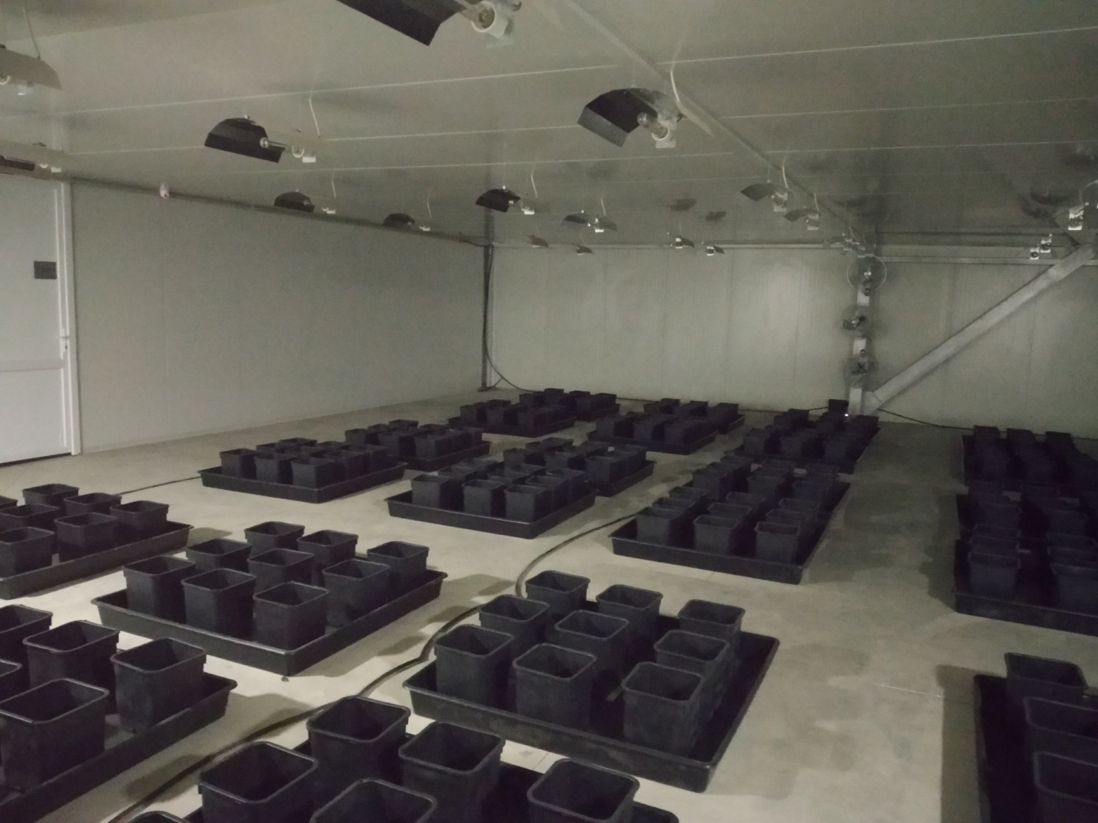 2 zone 2 (flowering grow room)