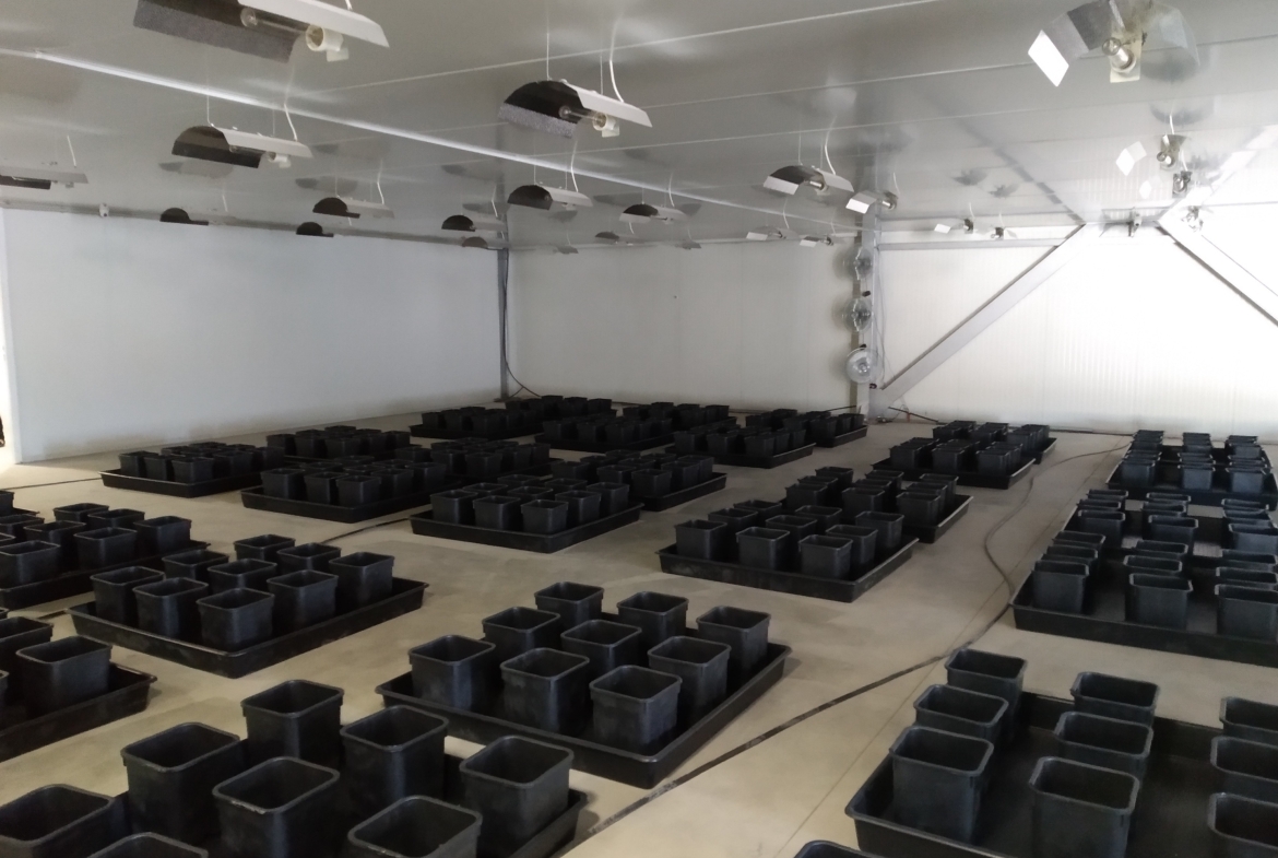 2.2 zone 2 (flowering grow room)