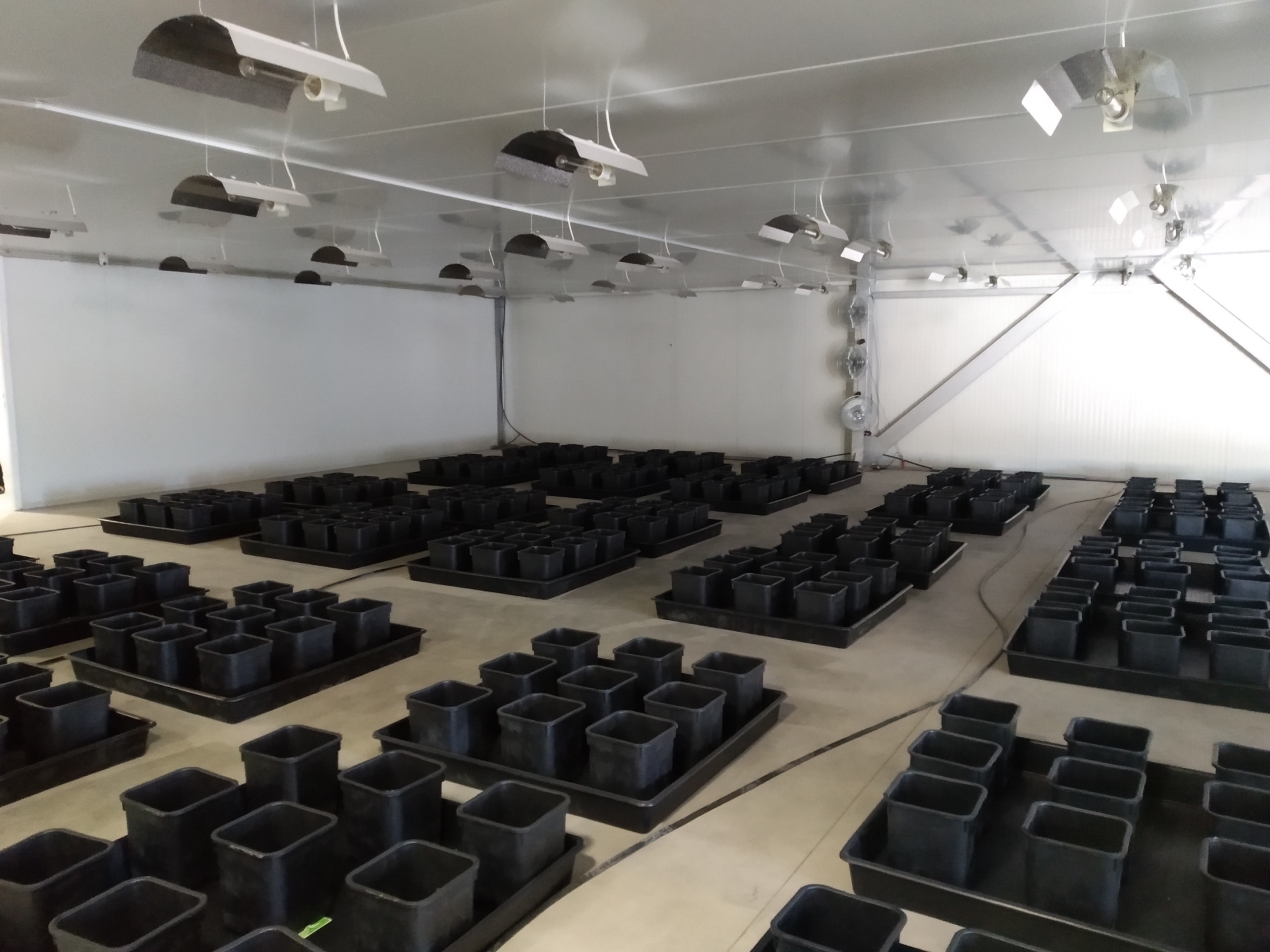 2.2 zone 2 (flowering grow room)