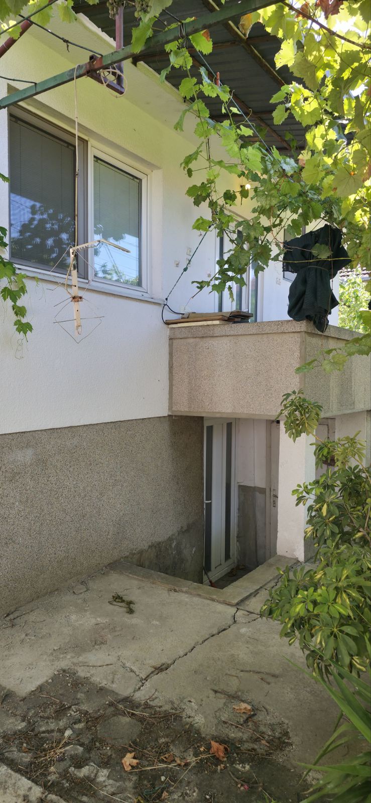 viber_image_2025-10-06_12-42-30-888 Viber image 2025 10 06 12 42 30 888