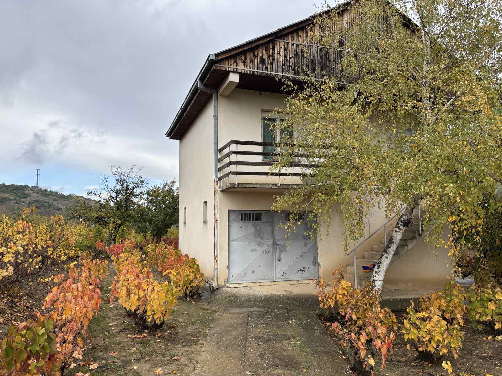 viber_image_2025-10-29_10-43-23-806 Viber image 2025 10 29 10 43 23 806