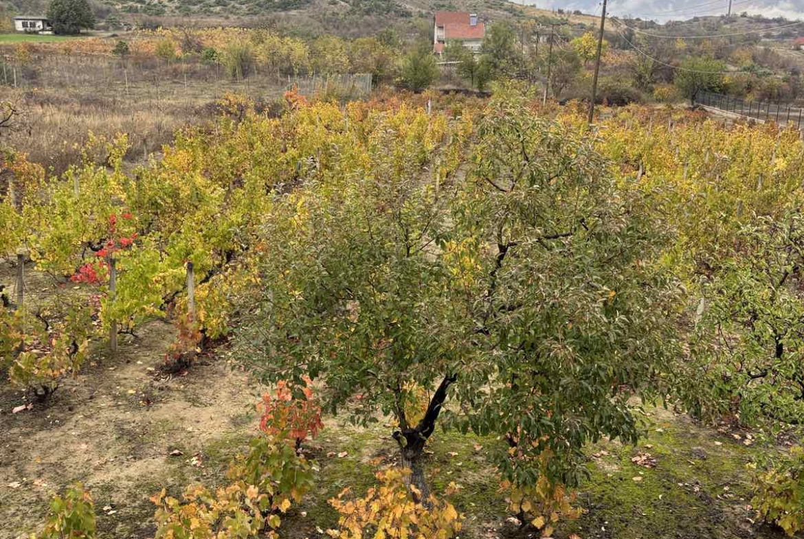 Viber image 2025 10 29 10 43 24 095