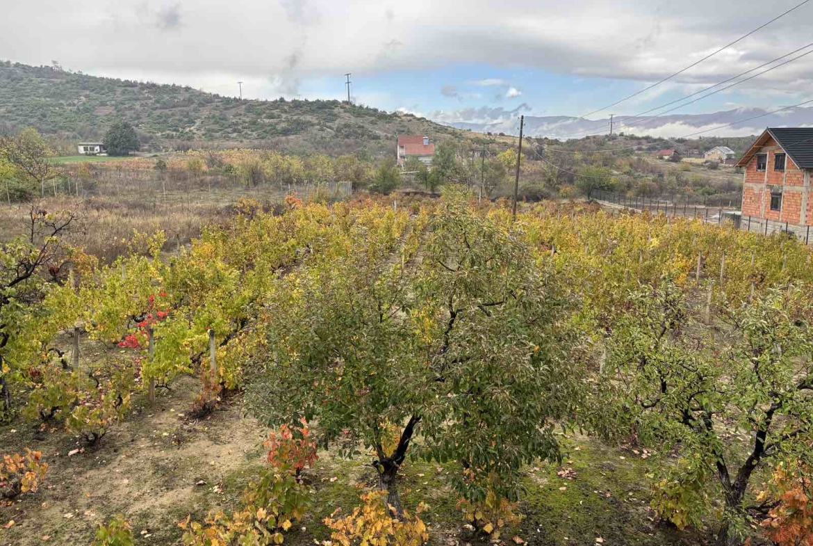 Viber image 2025 10 29 10 43 24 266