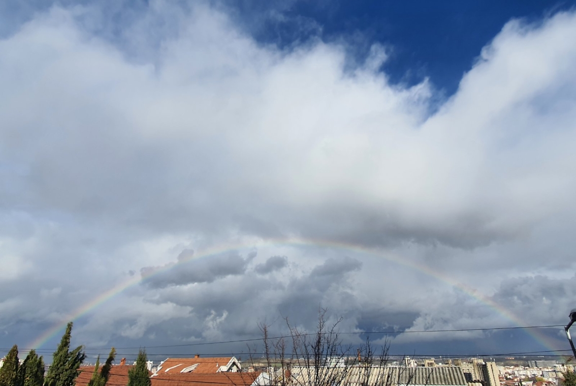 Viber image 2021 12 10 14 29 17