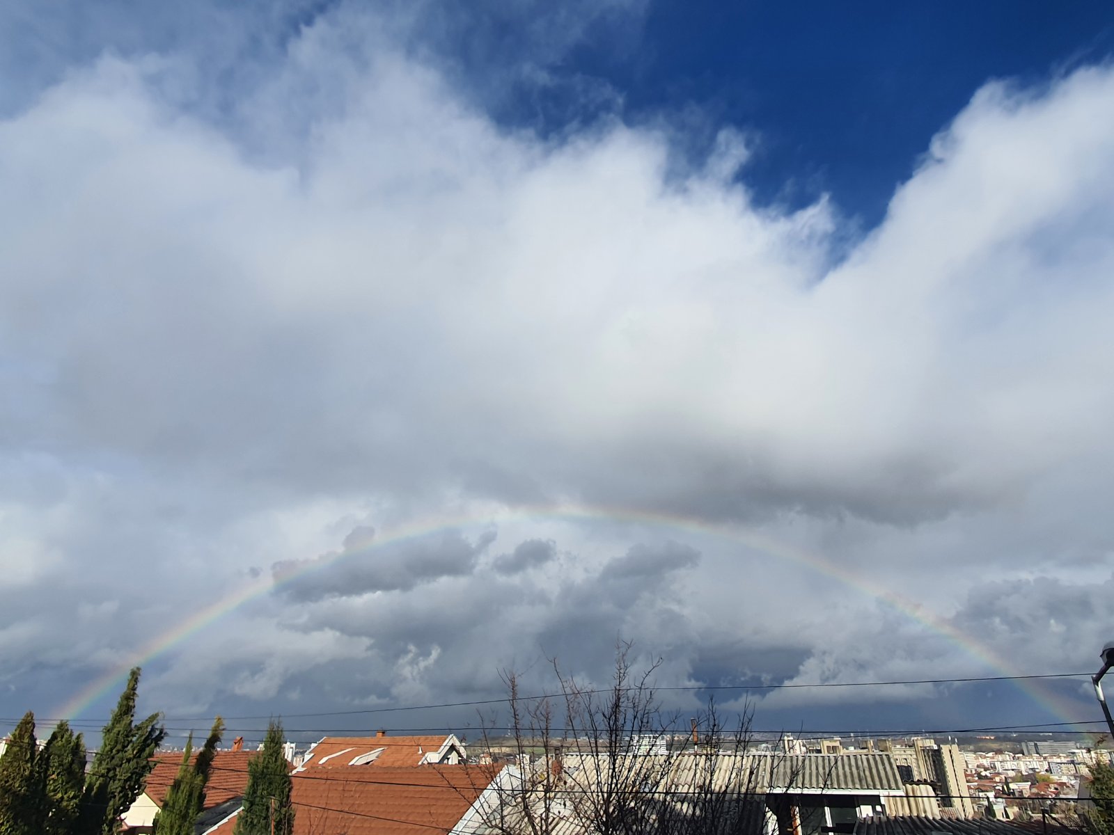 viber_image_2021-12-10_14-29-17-406 Viber image 2021 12 10 14 29 17