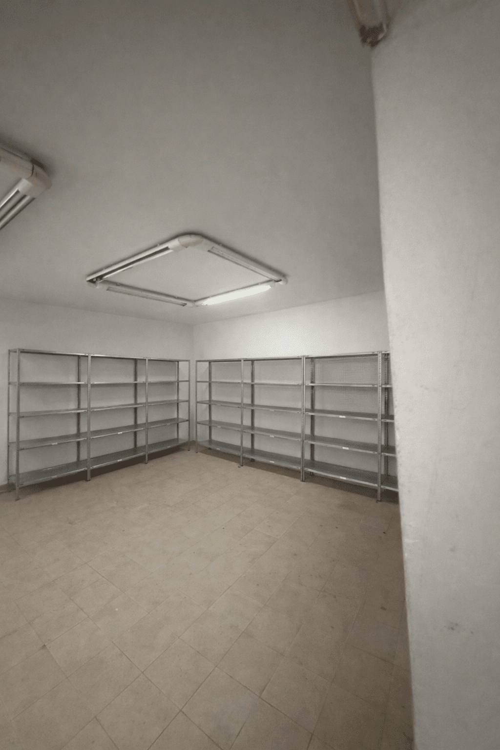 ChatGPT Image Jan 8, 2026, 02 30 40 PM