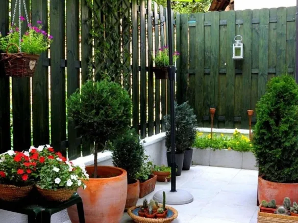 Viber image 2026 02 13 14 16 05