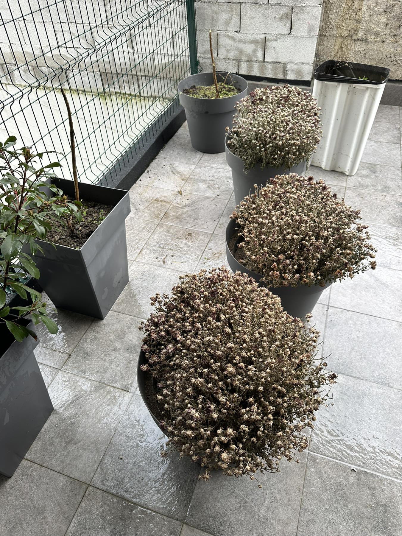 Viber image 2026 02 18 15 11 40