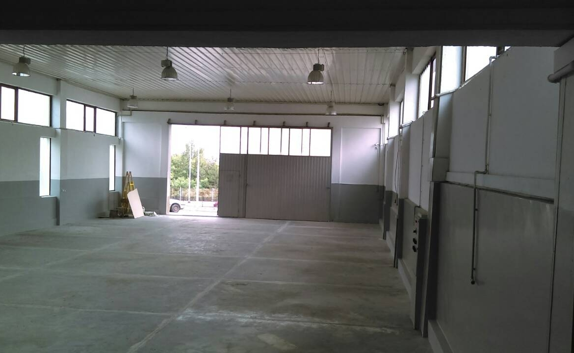 Viber image 2026 03 11 15 35 52