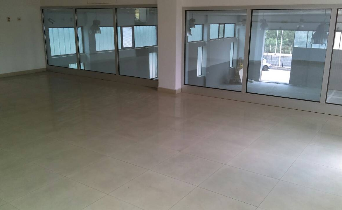 Viber image 2026 03 11 15 35 54