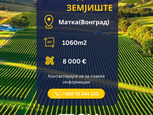 Viber image 2026 03 11 17 16 56