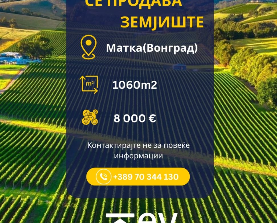 Viber image 2026 03 11 17 16 56