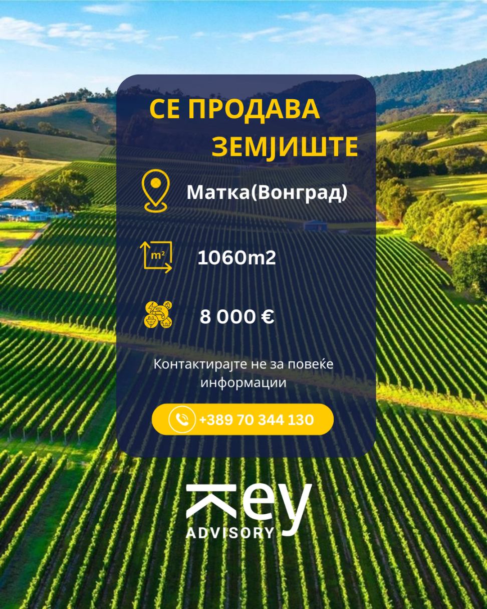 Viber image 2026 03 11 17 16 56